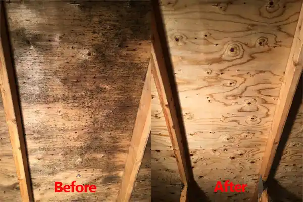 water damage restoration service East Hills